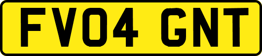 FV04GNT