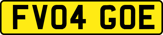 FV04GOE