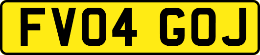 FV04GOJ