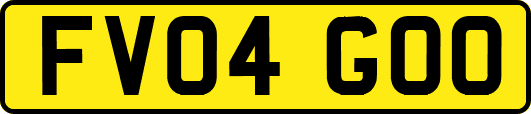 FV04GOO