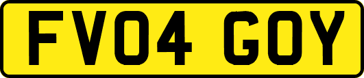 FV04GOY
