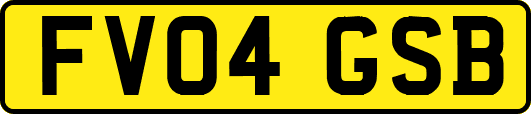 FV04GSB