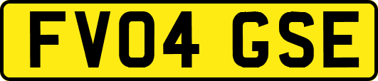 FV04GSE