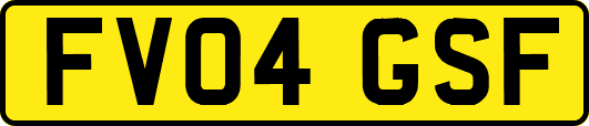 FV04GSF