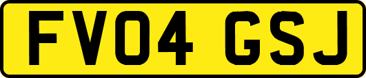 FV04GSJ