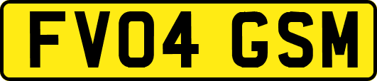 FV04GSM