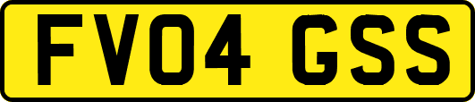 FV04GSS