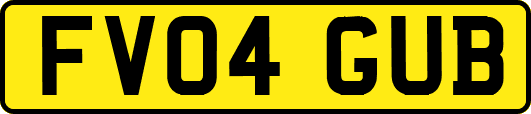 FV04GUB