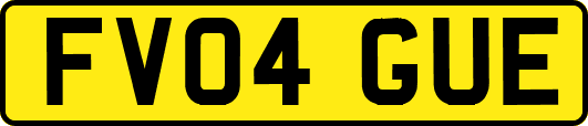 FV04GUE