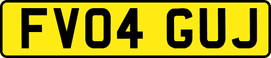 FV04GUJ