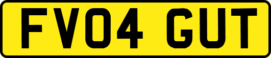FV04GUT