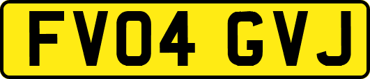 FV04GVJ