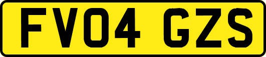 FV04GZS