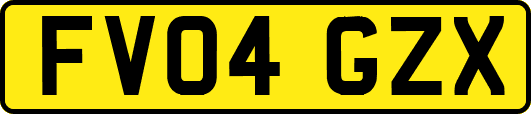 FV04GZX
