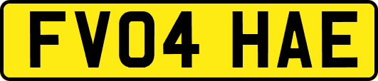 FV04HAE