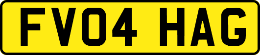 FV04HAG