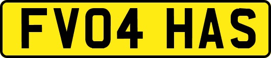 FV04HAS