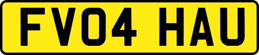 FV04HAU