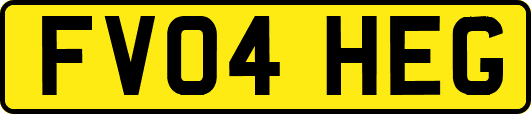 FV04HEG
