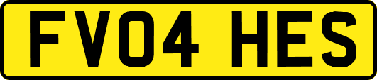 FV04HES
