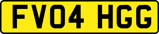FV04HGG