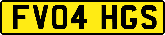 FV04HGS