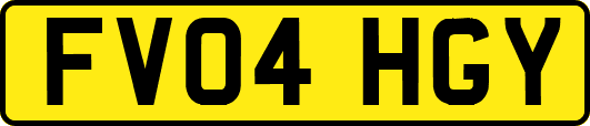 FV04HGY