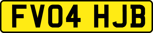 FV04HJB