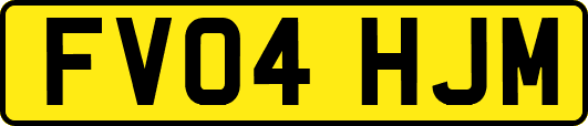FV04HJM