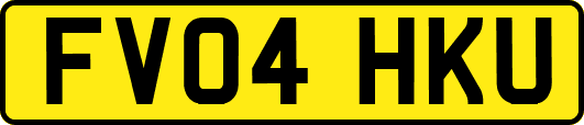 FV04HKU