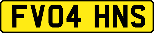 FV04HNS
