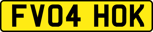 FV04HOK