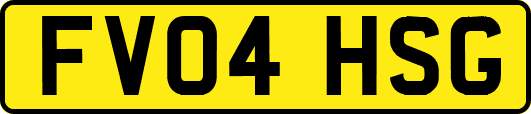FV04HSG