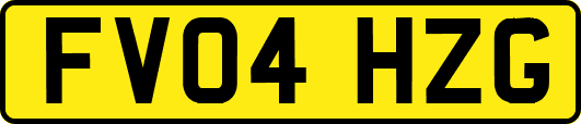 FV04HZG
