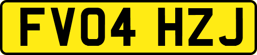 FV04HZJ