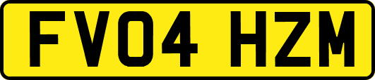 FV04HZM