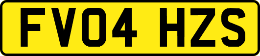FV04HZS
