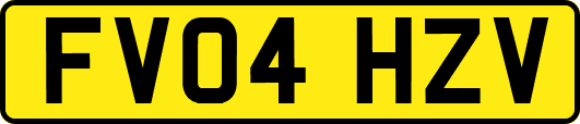 FV04HZV
