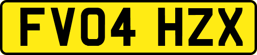 FV04HZX
