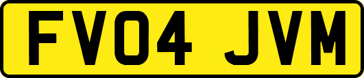 FV04JVM