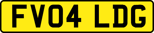 FV04LDG