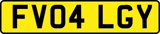 FV04LGY