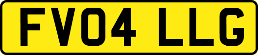 FV04LLG