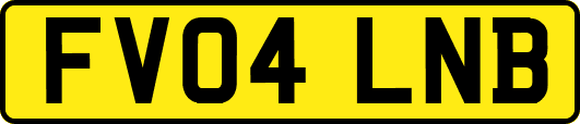 FV04LNB