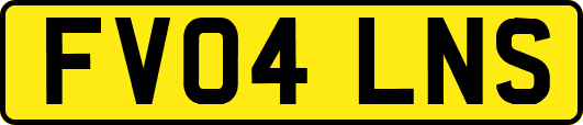 FV04LNS