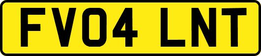 FV04LNT