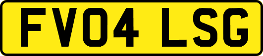 FV04LSG
