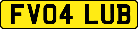 FV04LUB