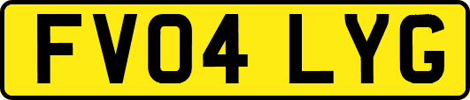FV04LYG
