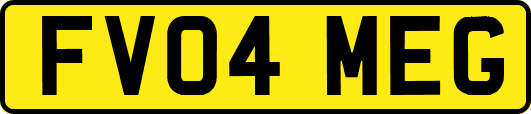 FV04MEG